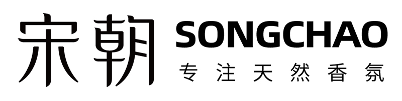 宋朝logo-(1).jpg